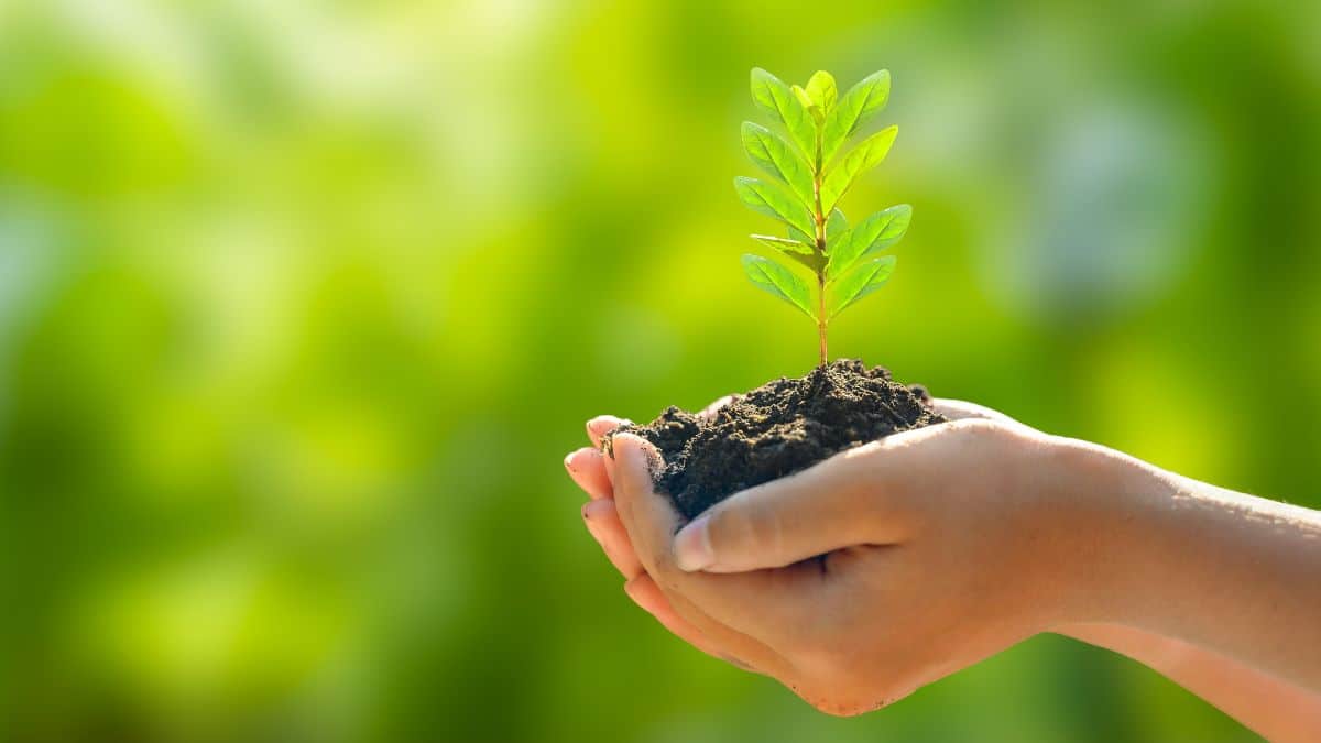 Investimenti sostenibili - convengono?